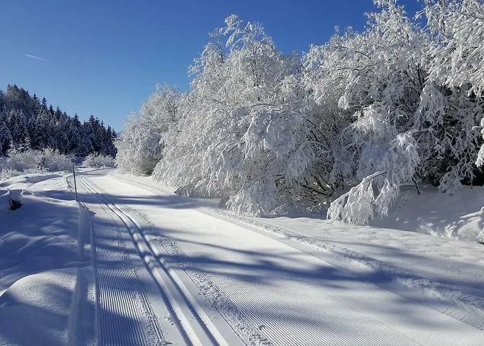 Apartmán Bergtraum *